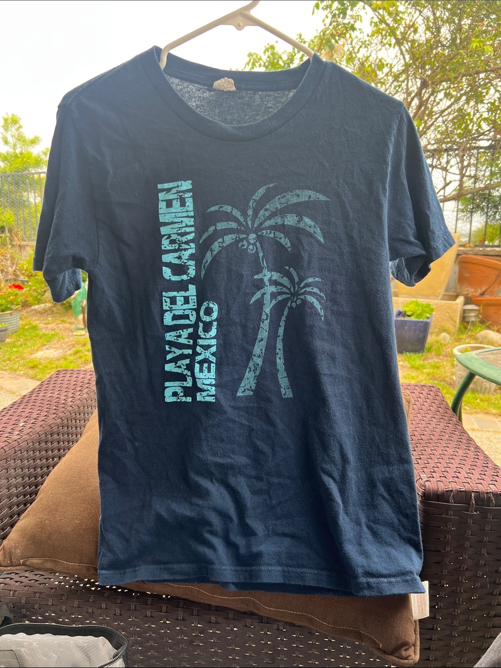 Men's Playa Del Carmen Graphic T-Shirt - Navy Blue